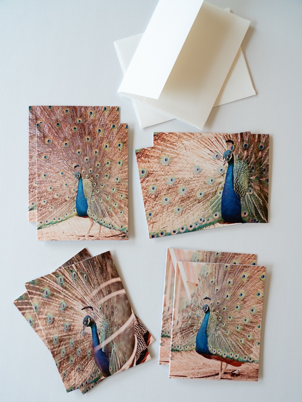 Beautiful Peacock Note Cards with Envelopes - Set of 8